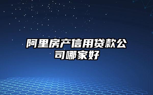阿里房产信用贷款公司哪家好